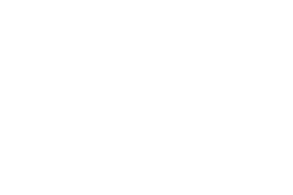 See Spark Go: Multi-Brand Franchise Development Dashboard