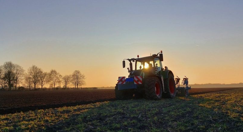 Grote kas met rijen groene planten onder een transparant dak en metalen ondersteunende palen.