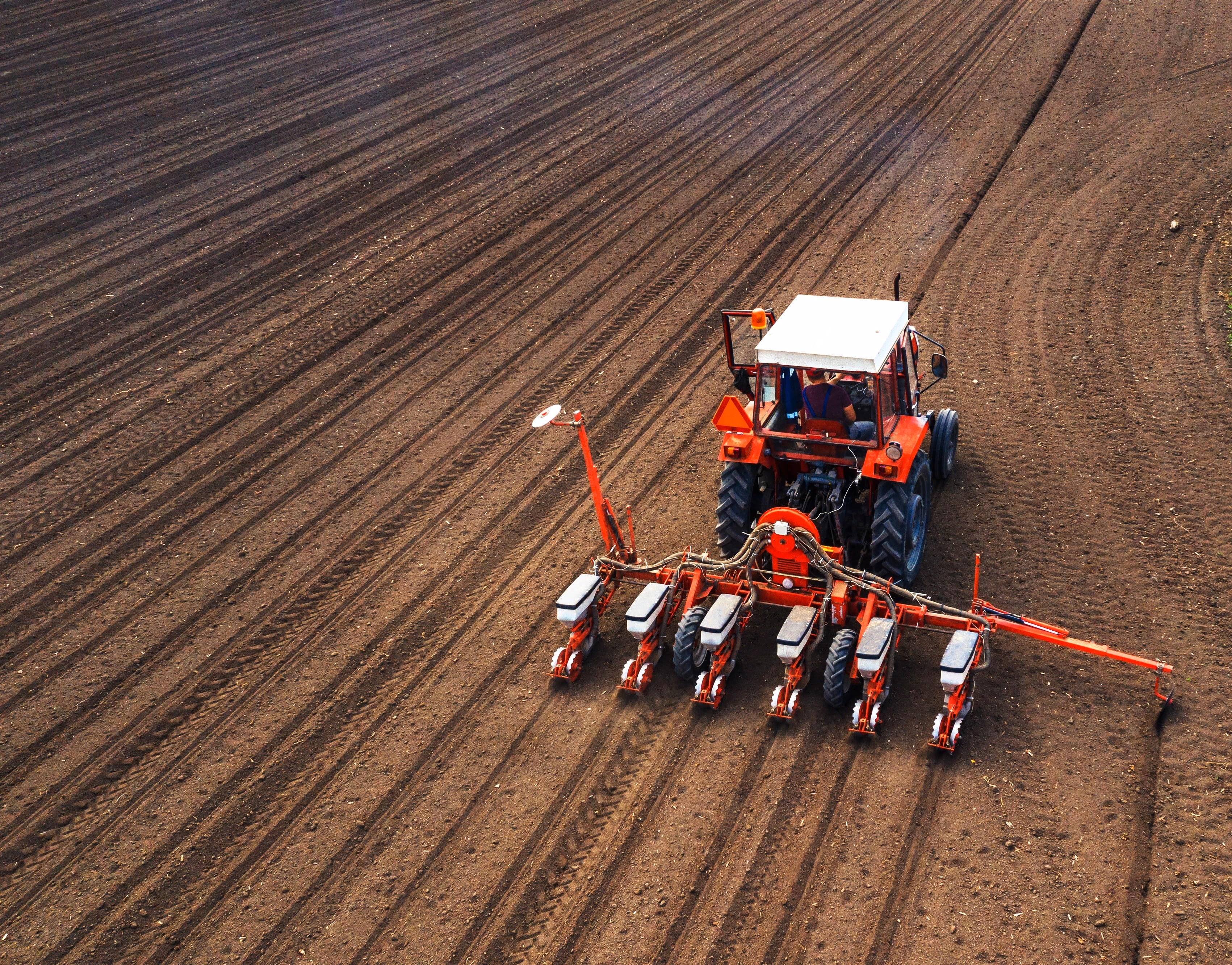 Grote kas met rijen groene planten onder een transparant dak en metalen ondersteunende palen.