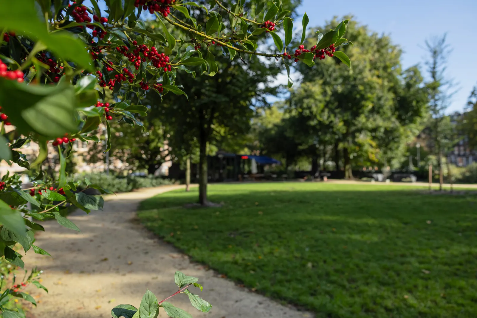 Park Amsterdam Zochers