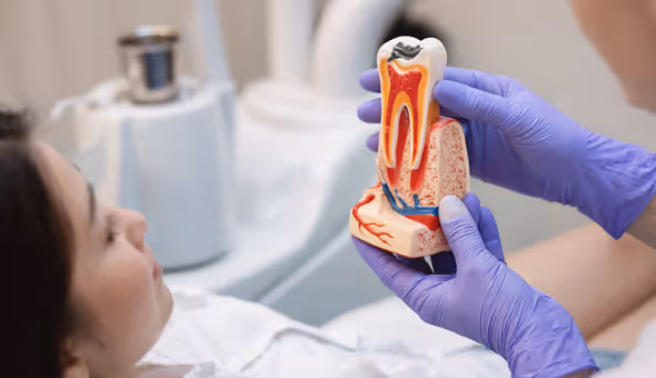 Wortelkanaalbehandeling (endodontologie)