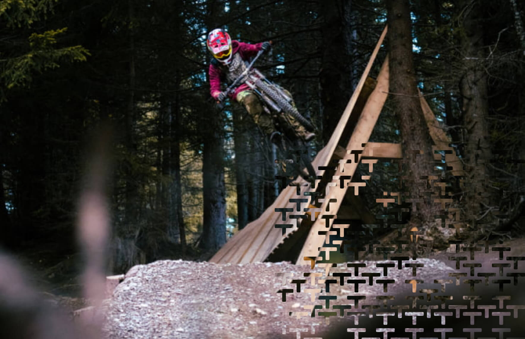 Person riding a bike in a forest