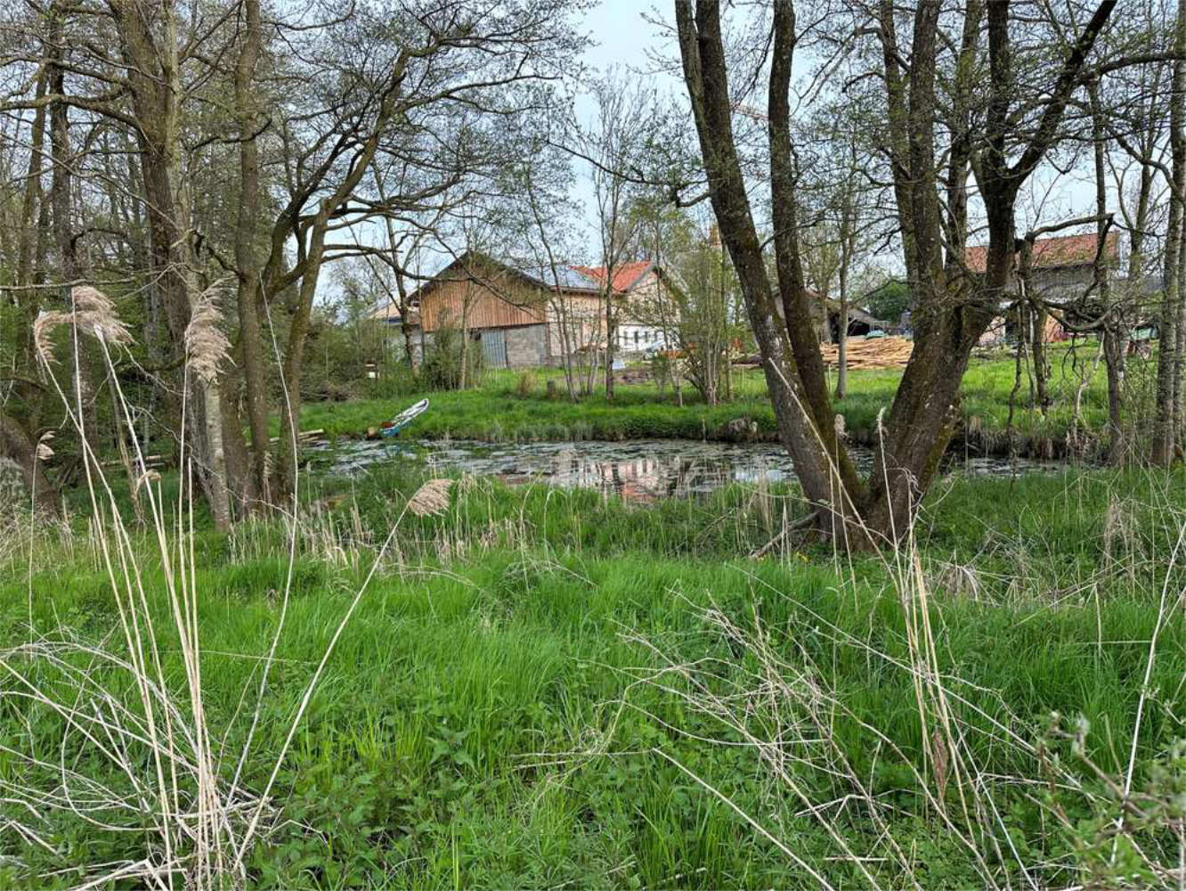 Ländliches Grundstück mit Teich und Bäumen, Zeltsperger Immobilien Objekt.