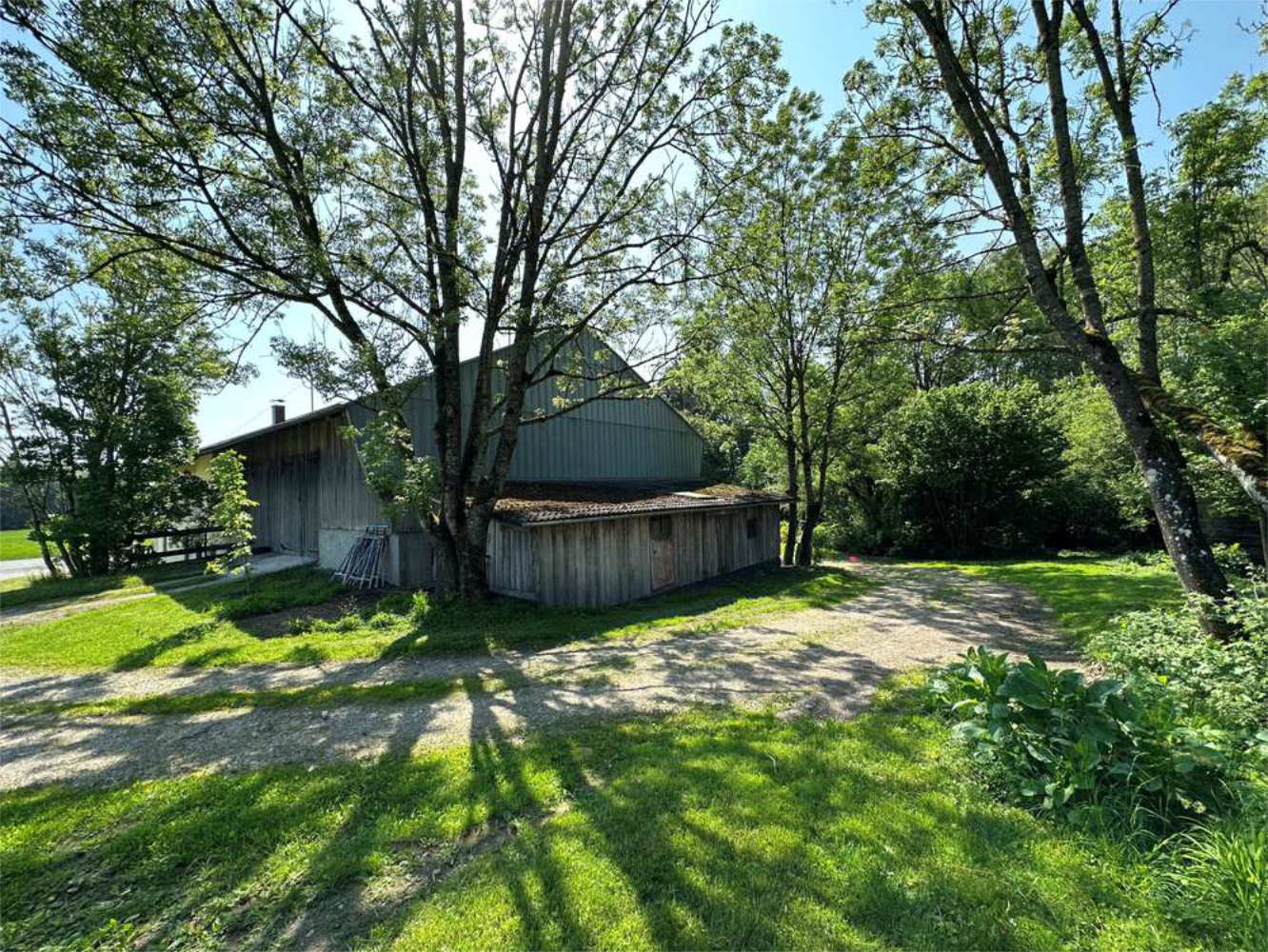 Alte Scheune mit Bäumen und Wiese im Chiemgau, Zeltsperger Immobilien.