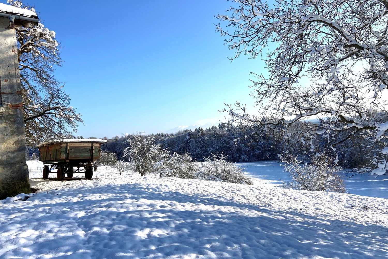 Bauernhof im Schnee mit Bäumen und Bank, Immobilienbestand Zeltsperger.