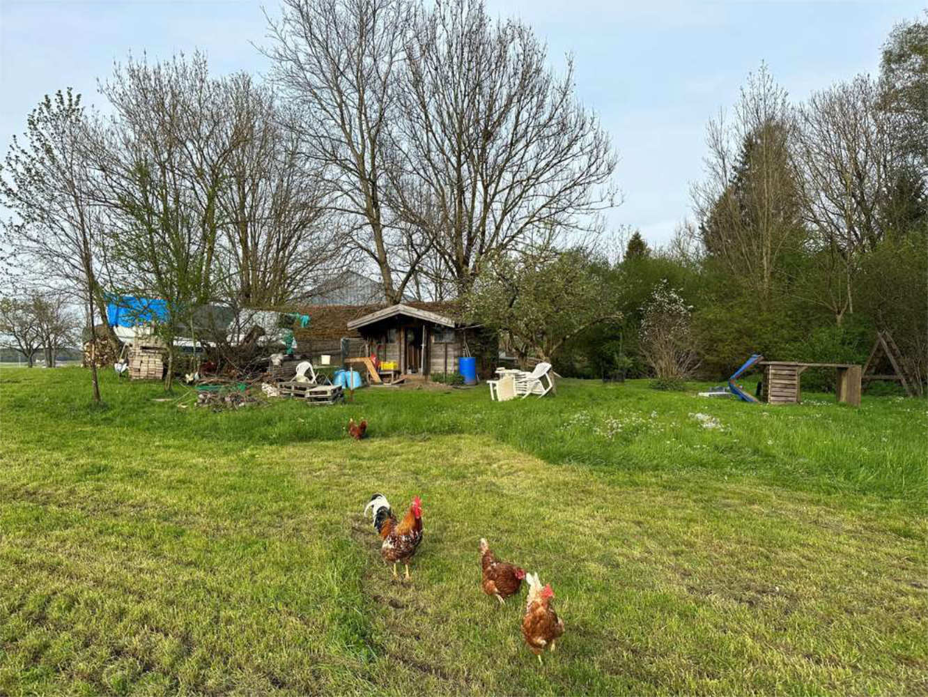 Landwirtschaftliches Grundstück mit Hühnern und Nebengebäuden, Zeltsperger Immobilien.