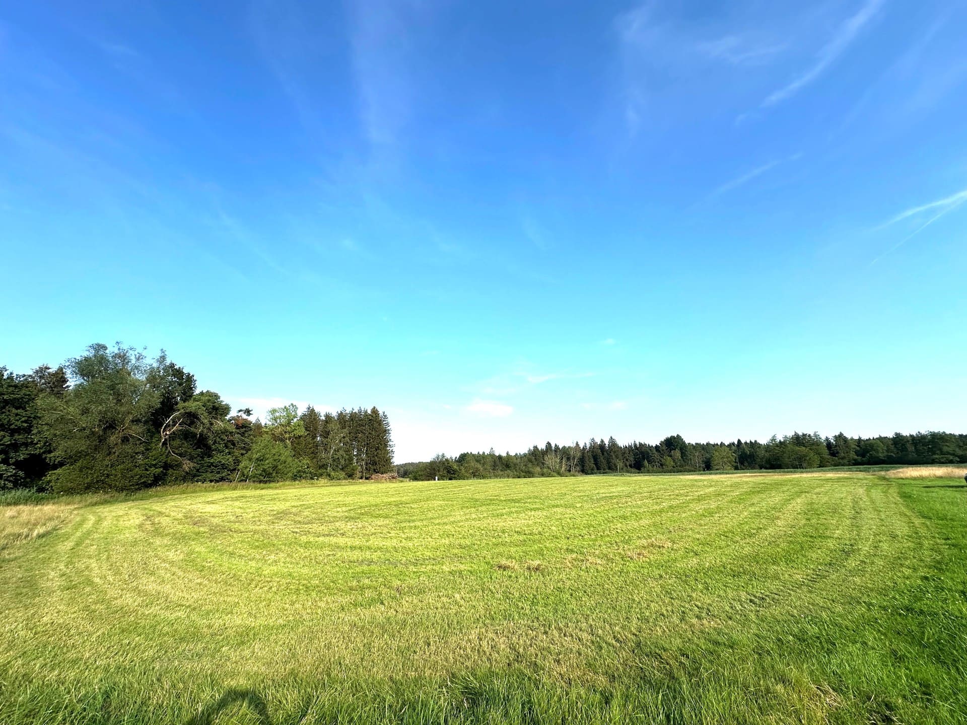 Großzügiges Baugrundstück mit saftiger Wiese, umgeben von Bäumen, sonniger Südlage und freier Bergpanorama-Aussicht – ideales Grundstück für Einfamilienhaus oder Doppelhaus in naturnaher Premiumlage.