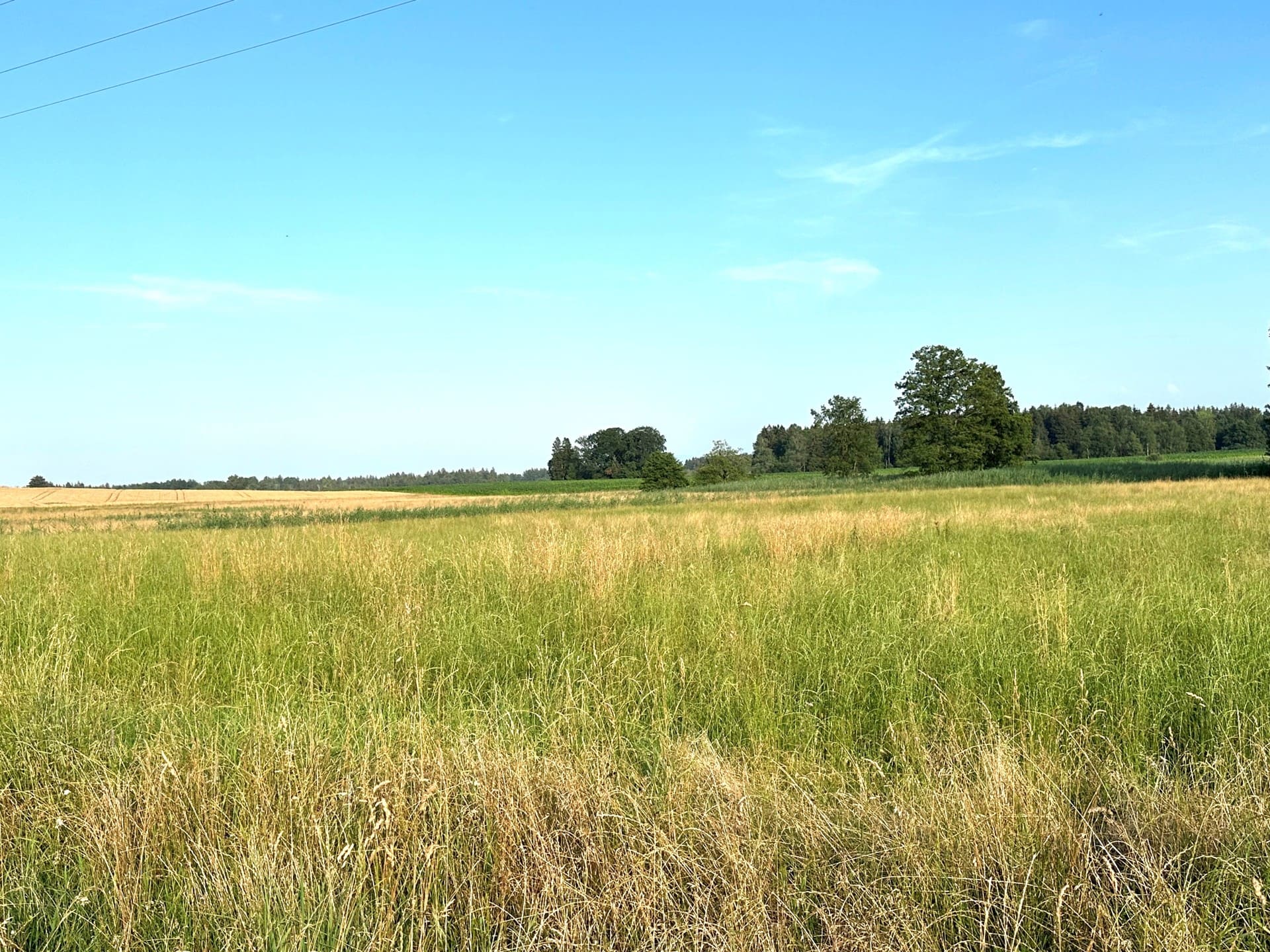 Offene Landschaft mit Wiesen und Bäumen – sonniges Grundstück in ruhiger Lage bei Eggstätt