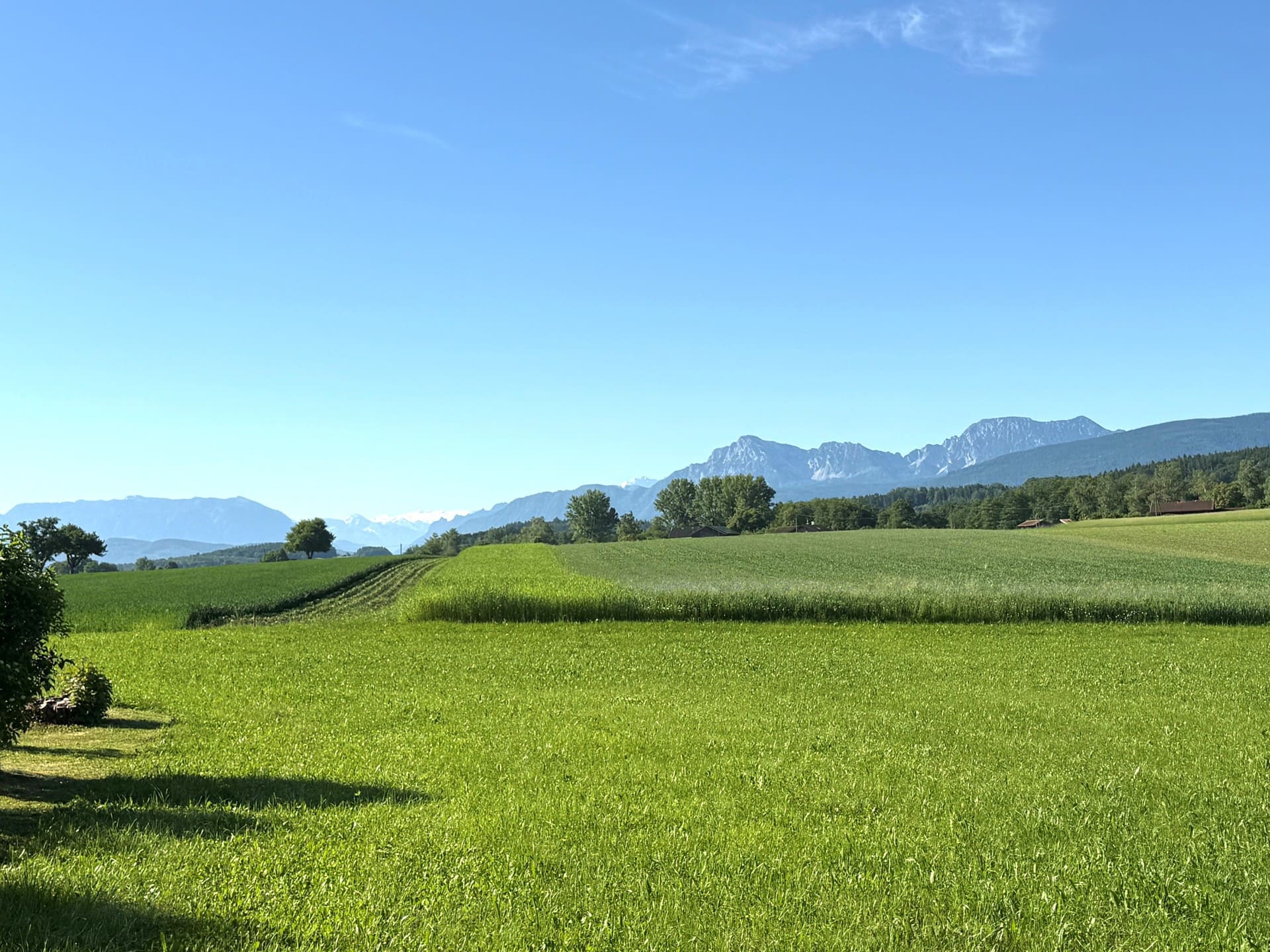 Weitläufiges, sonniges Baugrundstück mit grüner Wiese, freier Panoramasicht auf die Alpen und ruhiger Naturlage – perfektes Grundstück für Traum-Einfamilienhaus oder Ferienimmobilie mit Bergblick.