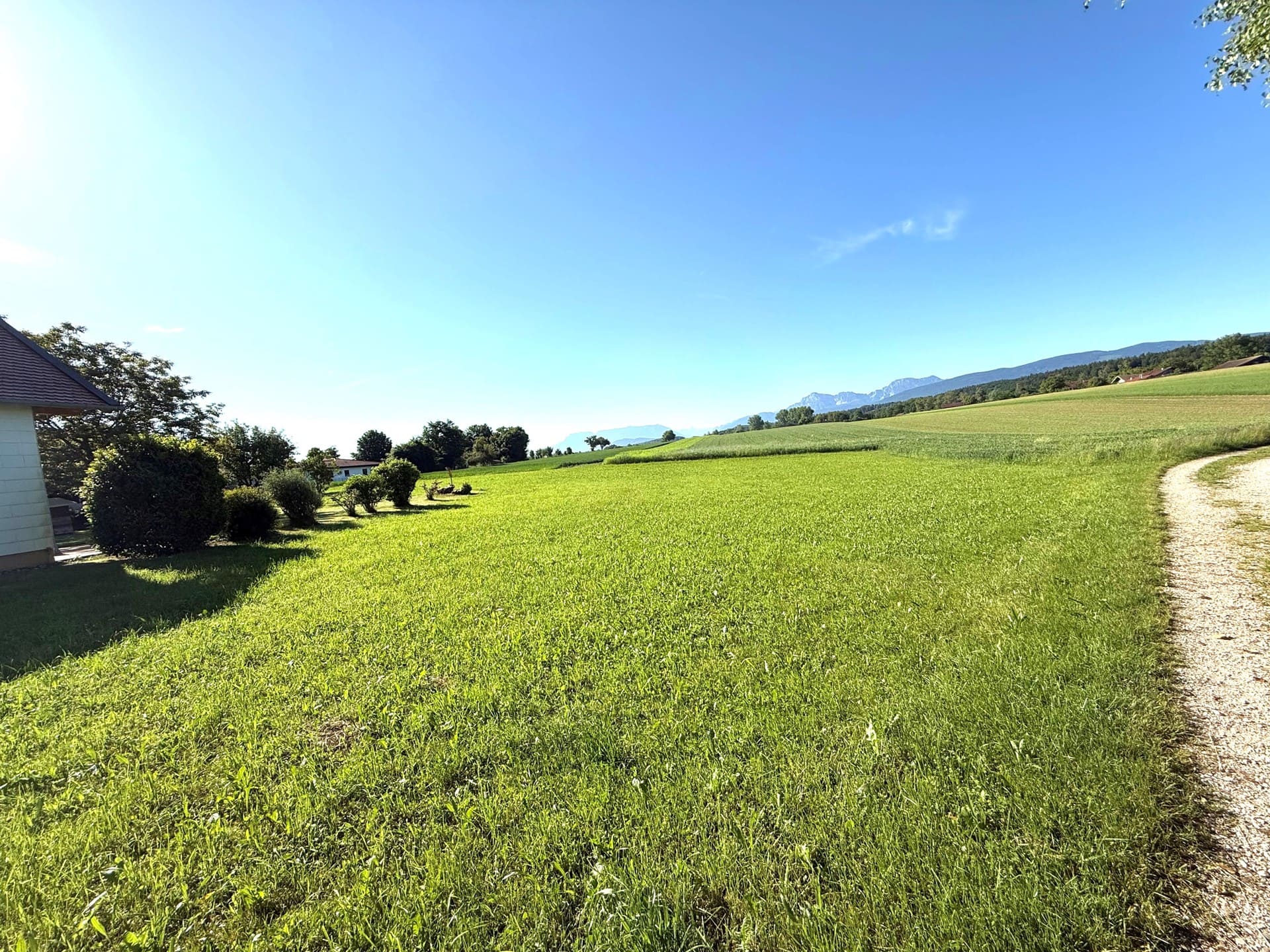 Weitläufige Wiese am Ortsrand – ruhig gelegenes Baugrundstück mit freiem Alpenpanorama