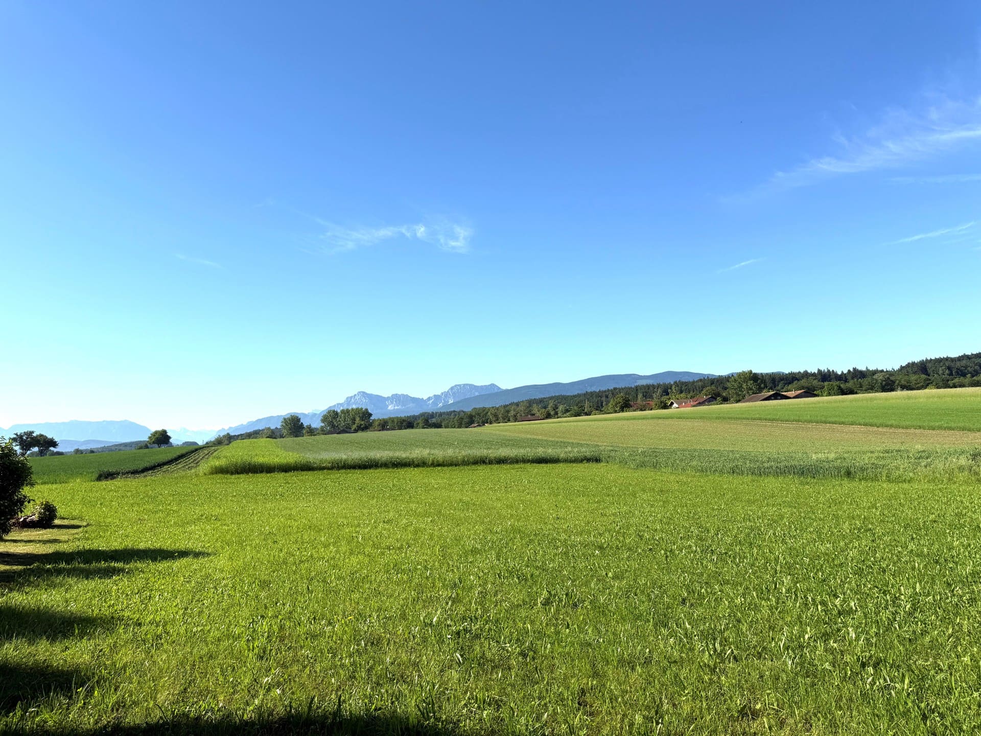 Sonniges Baugrundstück mit Bergblick – Erbpachtgrundstück für Einfamilienhaus in Petting