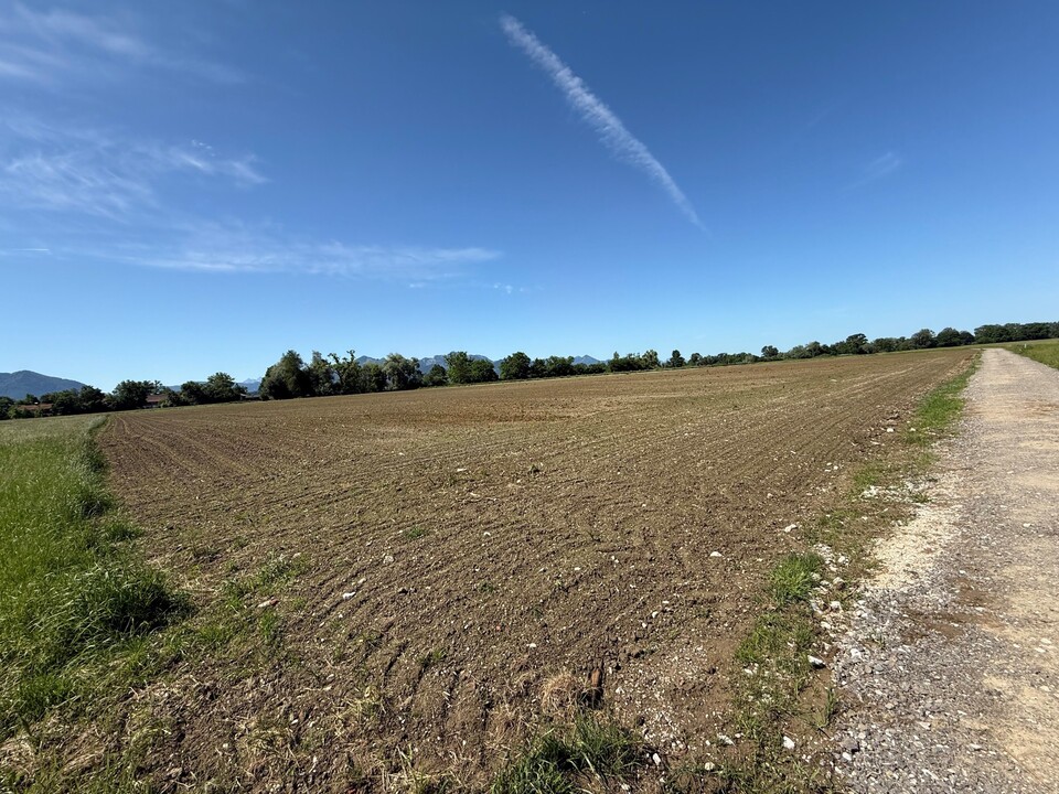 Weitläufige Ackerfläche unter blauem Himmel – attraktive und gut erschlossene Nutzgrundstücke in Übersee