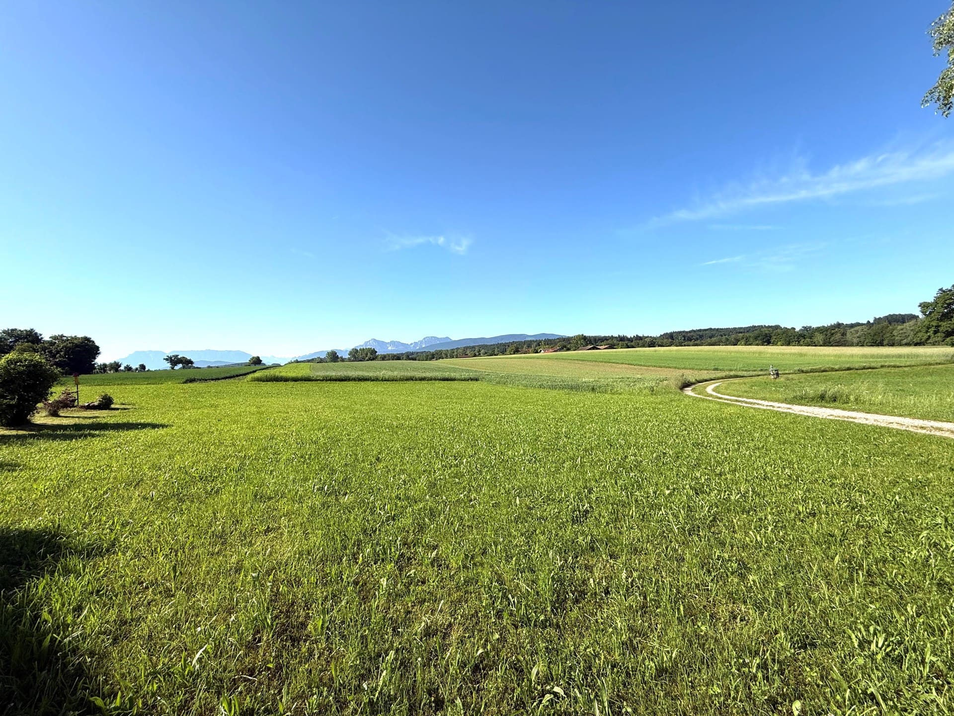 Weitläufiges Baugrundstück am Ortsrand von Petting mit Blick auf grüne Wiesen und blauen Himmel – ideal für Doppelhaus in Erbpacht.