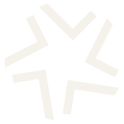 OrionLens Logo Symbol