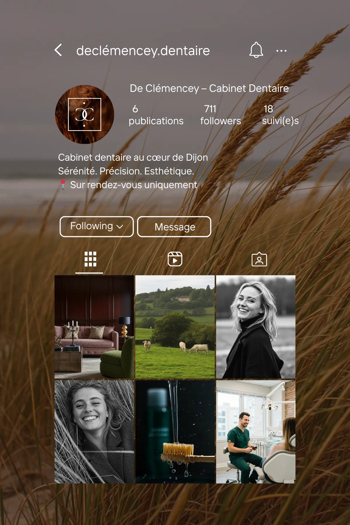 Exemple de feed Instagram pour le Cabinet de Clémencey, par Metara. 
(service: identité visuelle)