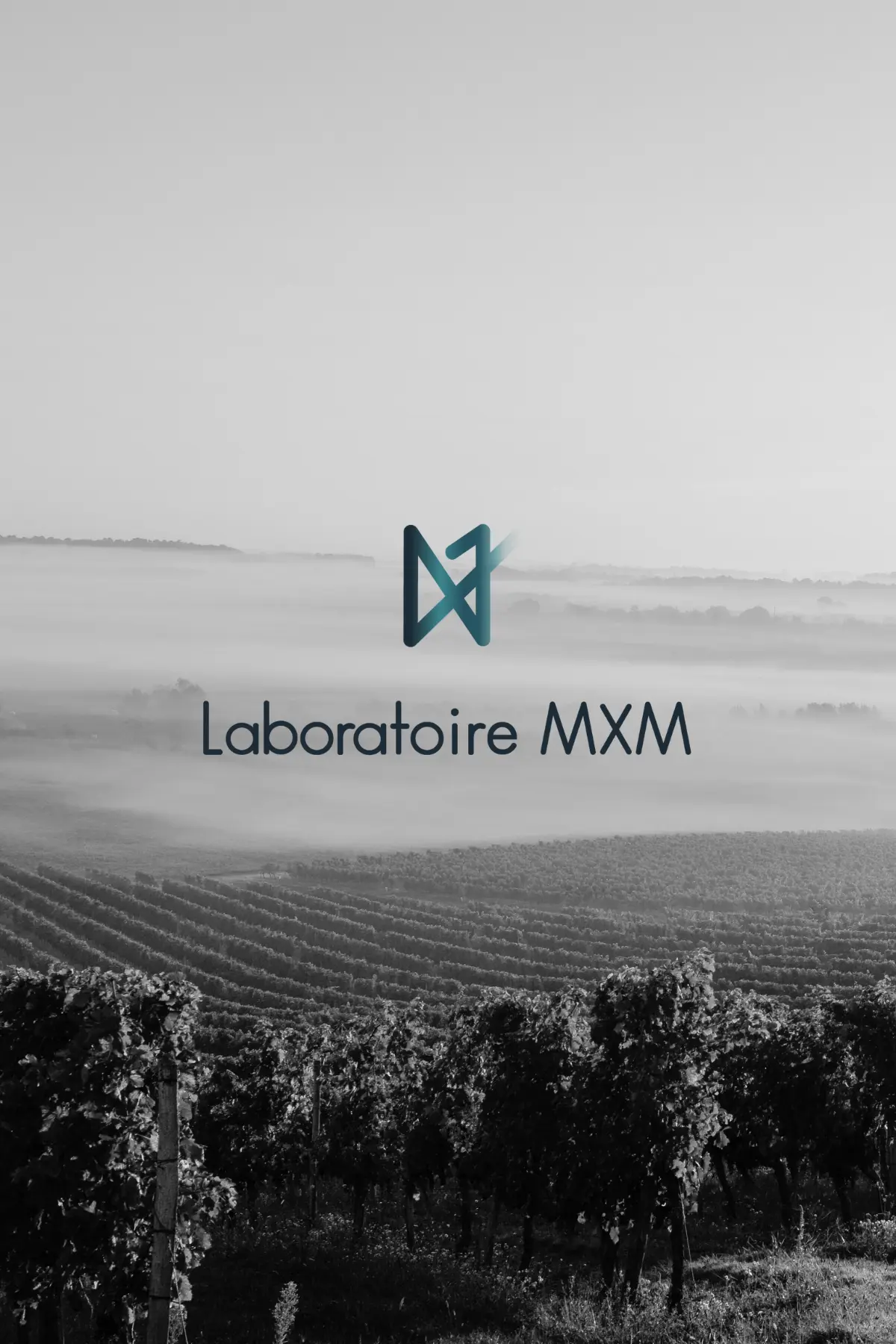 Logo réalisé pour le laboratoire MXM, par Metara.  
(service: identité visuelle)