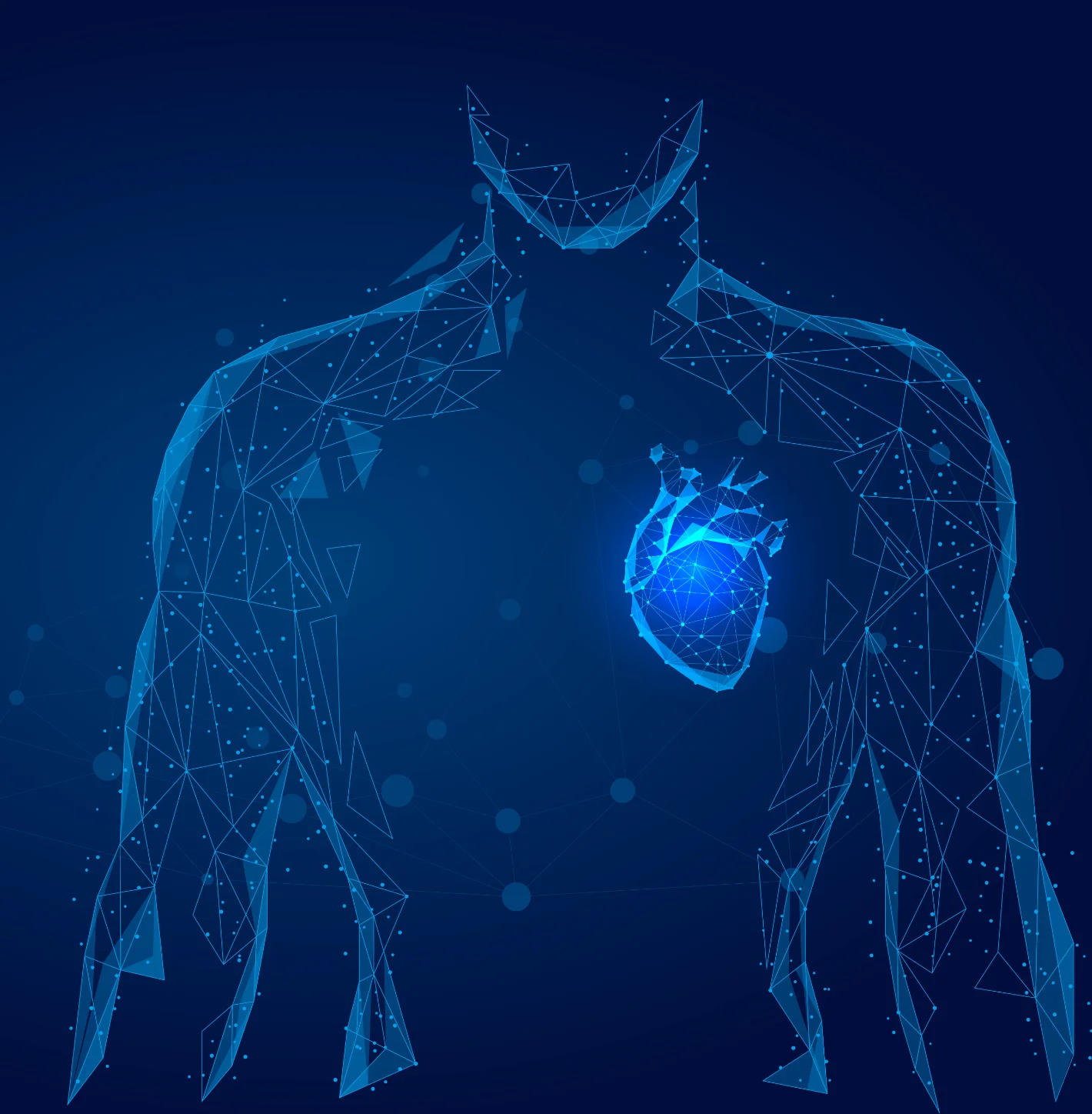 Digital wireframe of a human upper body with a glowing geometric heart in the chest area on a dark blue background.