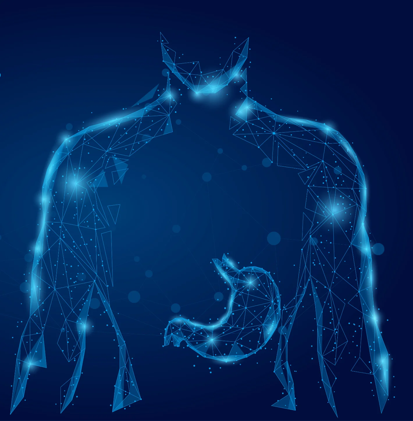 Digital blue wireframe illustration of a human torso with a highlighted stomach on a dark background.
