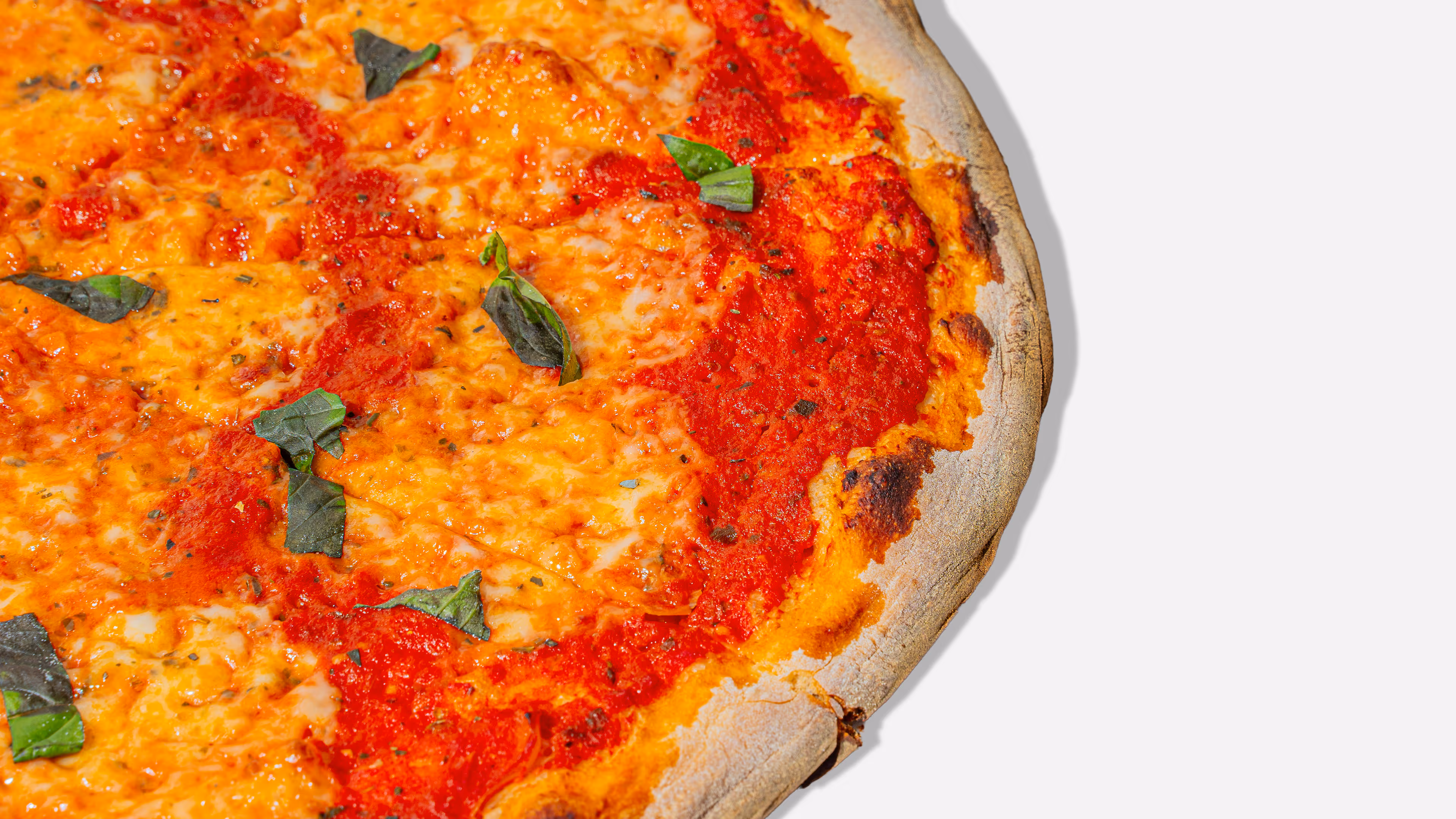 Close-up of a Margherita pizza slice showing melted cheese, tomato sauce, and basil leaves on a thin crust.