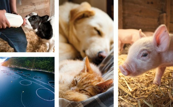 Employee Benefits Hub