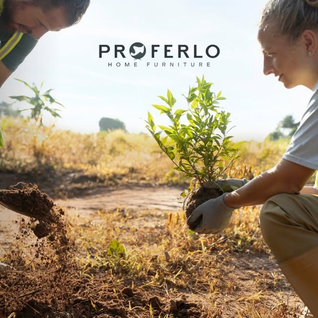 Proferlo Furniture Instagram post