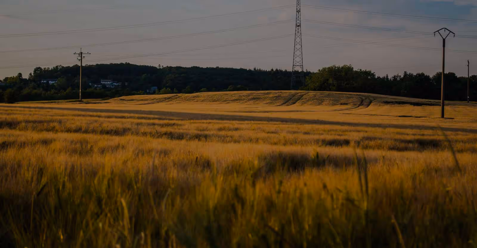 Illustration d'un terrain à bâtir destiné à l’immobilier professionnel – CBRE Atrium, conseil en immobilier d'entreprise.