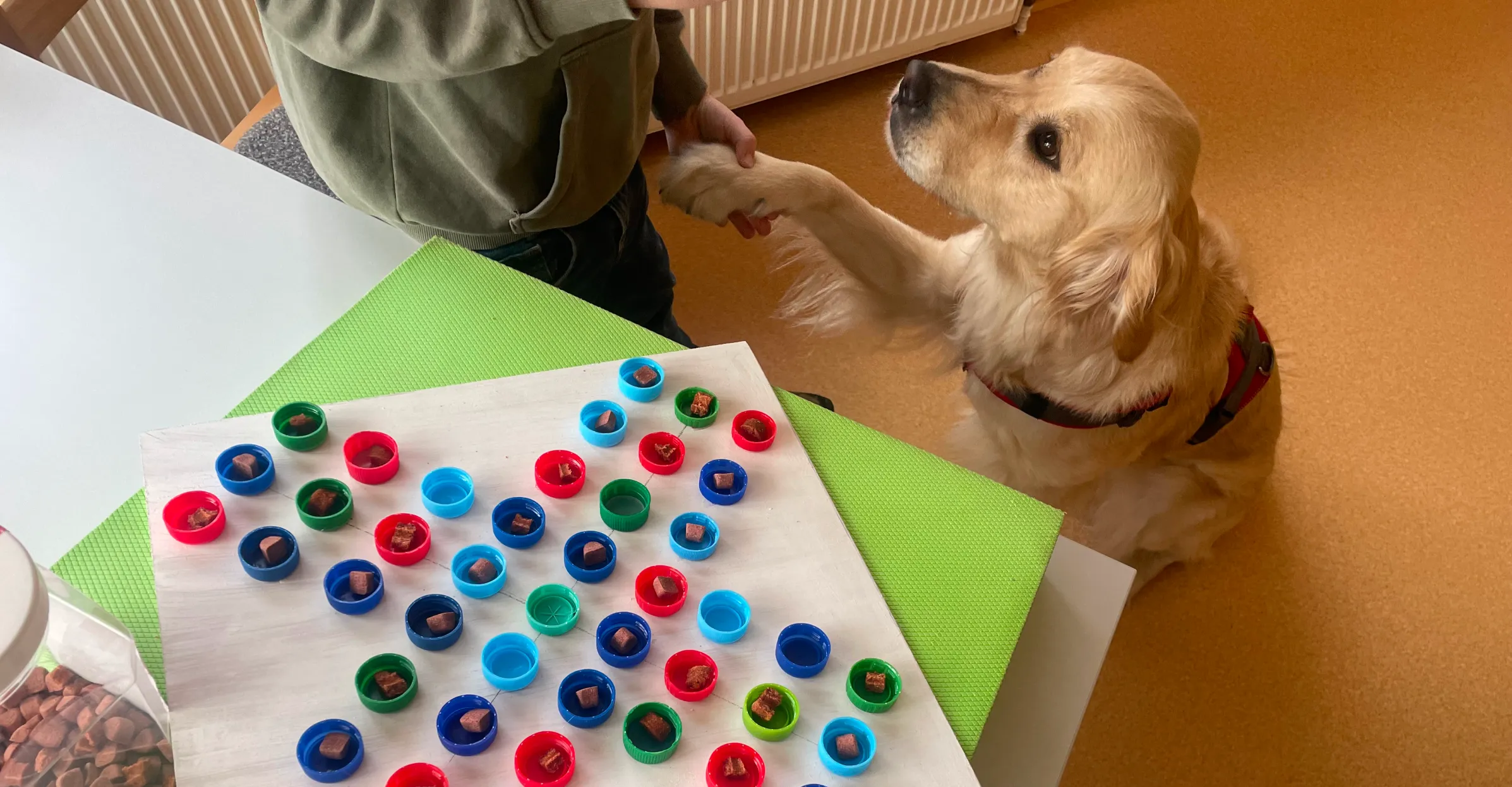 Ein Golden Retriever streckt eine Pfote zu einer Person, während bunte Flaschendeckel mit Hundeleckerlis auf einem Tisch liegen.