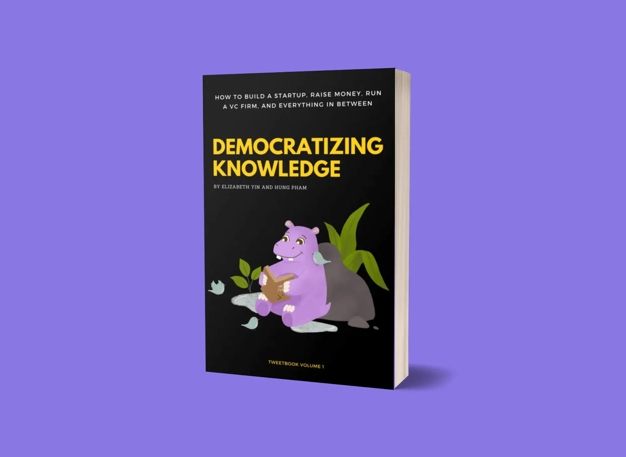 Book titled 'Democratizing Knowledge' by Elizabeth Yin and Hung Pham with illustration of a purple hippo reading surrounded by small birds and plants.