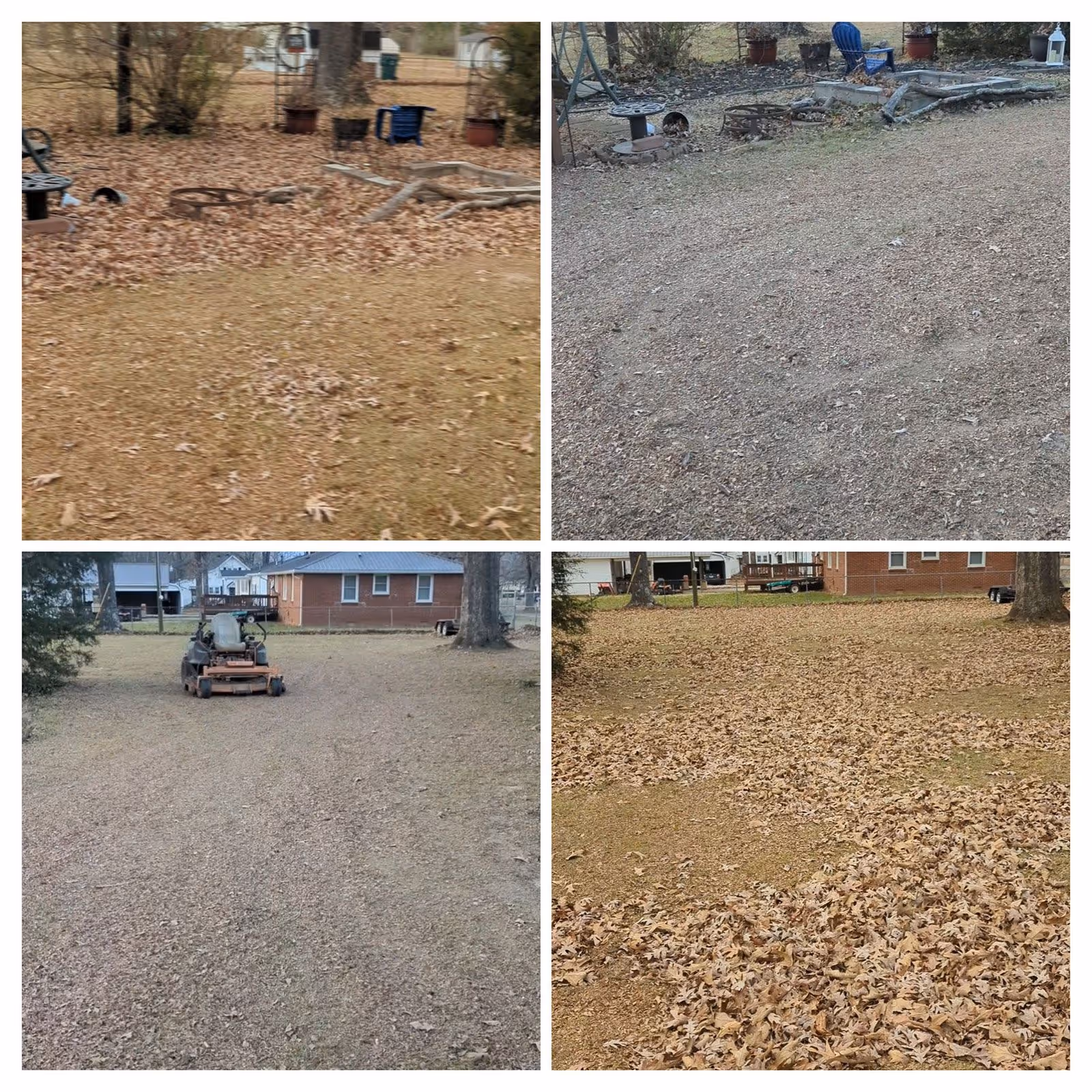 Before and after leaf removal cleanup showing spotless property