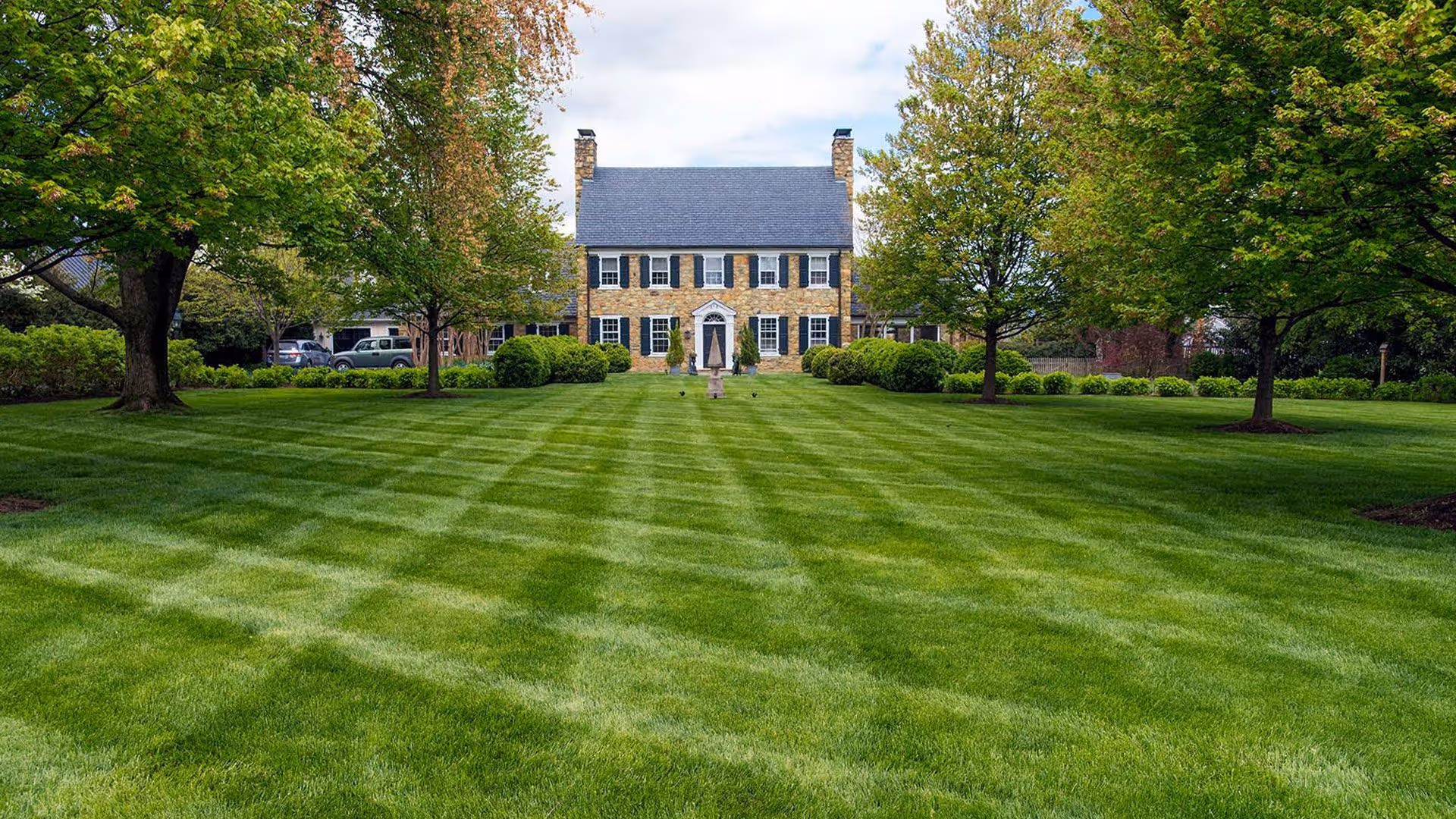 Beautiful backyard after professional lawn and landscape maintenance