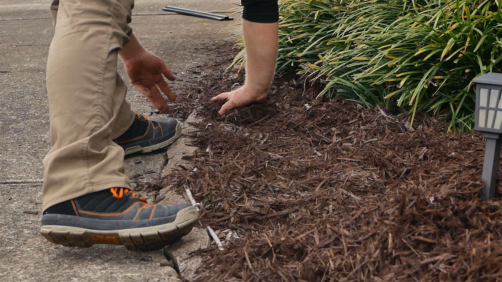 Professional landscaping crew installing mulch and plants