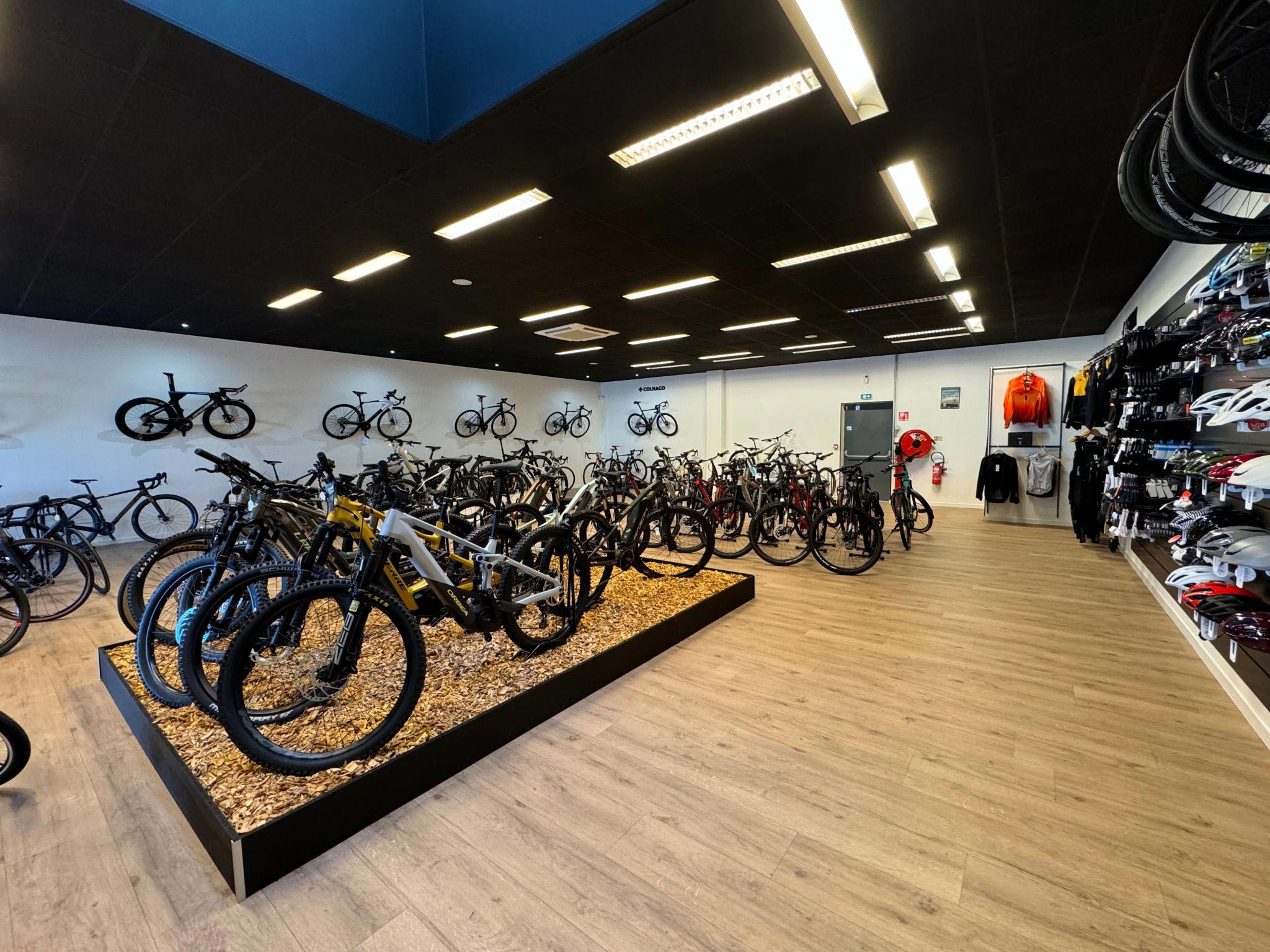 Intérieur du magasin Cycl’Avenue à Issoire, présentant une large sélection de vélos exposés, des accessoires accrochés aux murs, et un espace lumineux dédié à la vente et au montage.