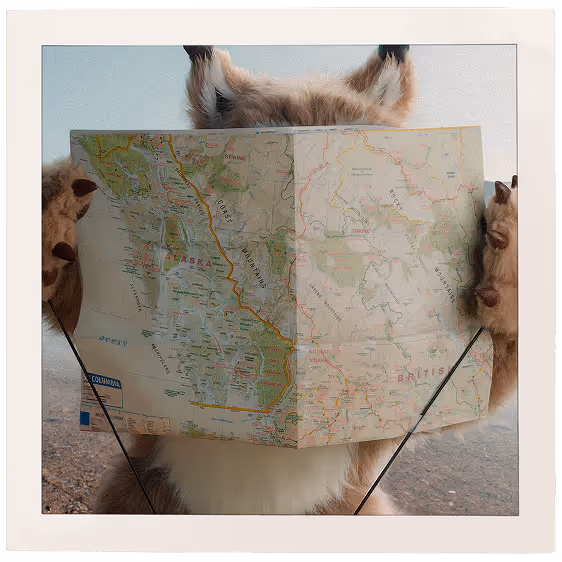 a puppet lynx holding a map