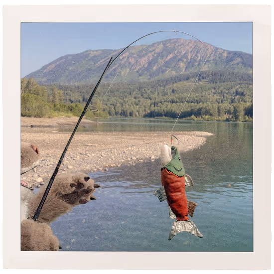 a puppet lynx fishing