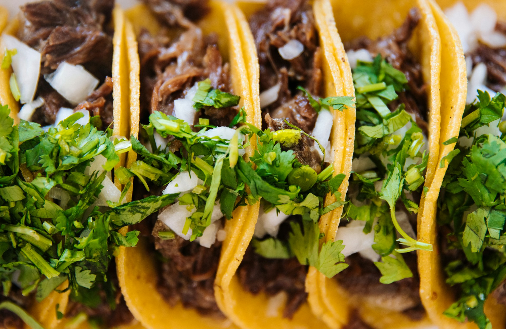 Close-up of three tacos filled with shredded beef, chopped onions, and fresh cilantro in yellow corn tortillas.
