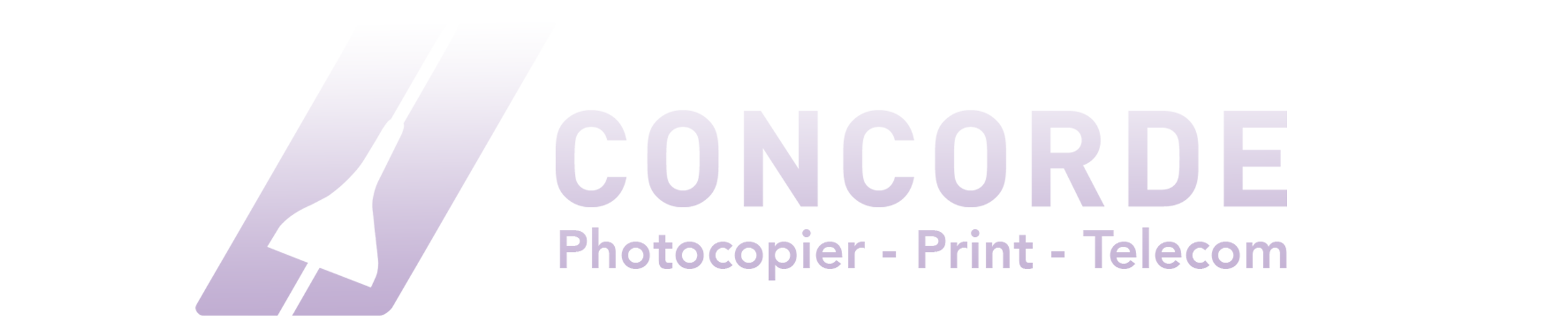 Footer Bottom Big Logo