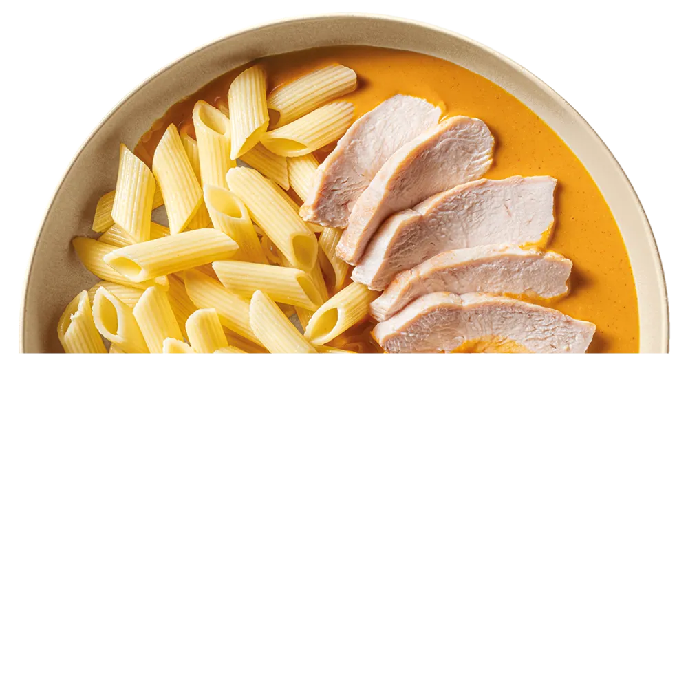 Talíř s penne těstovinami a plátky kuřecího masa v krémové omáčce.