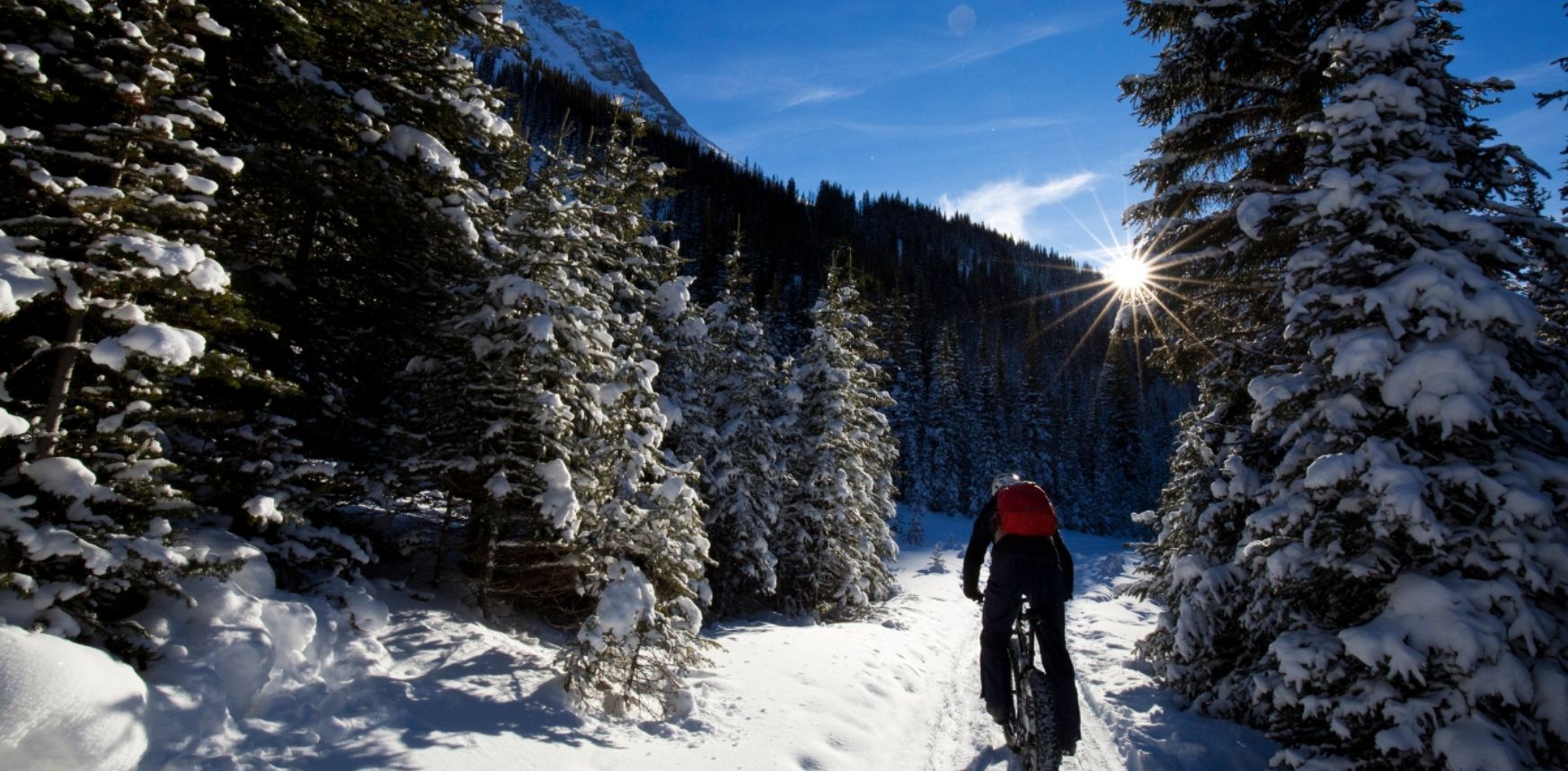 Fat bike trip in Megève, Les Chalets de l'Observatoire
