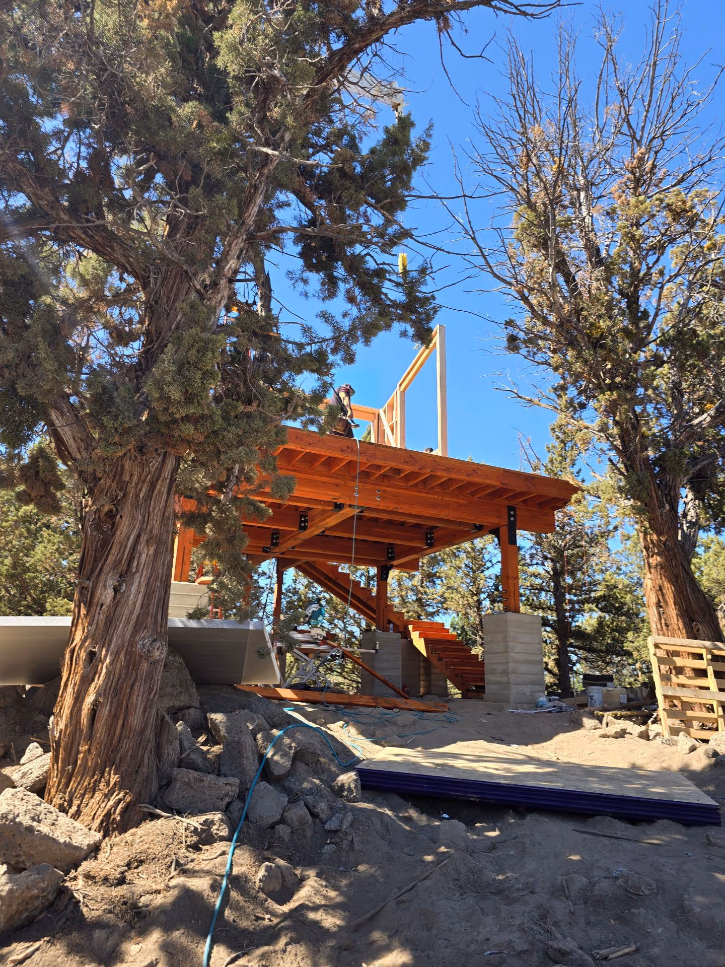 A man standing on top of a wooden structure next to a tree.