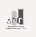 logo apip