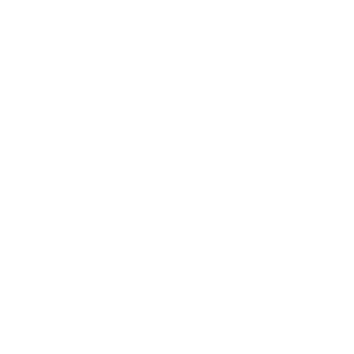 PROYECTOS ESPECIALES