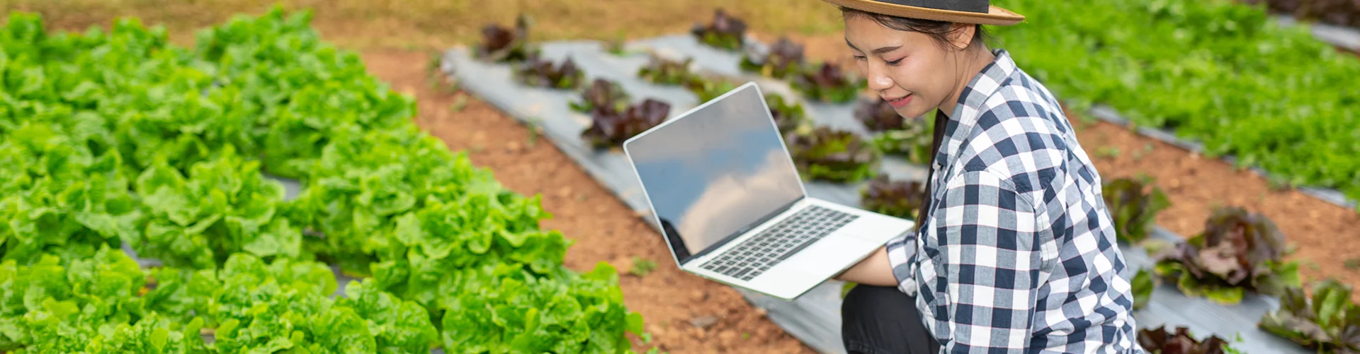 Portfolio Single Image 