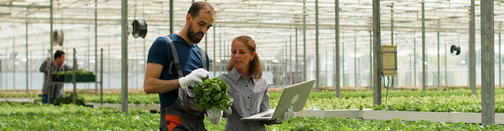 Portfolio Single Image 