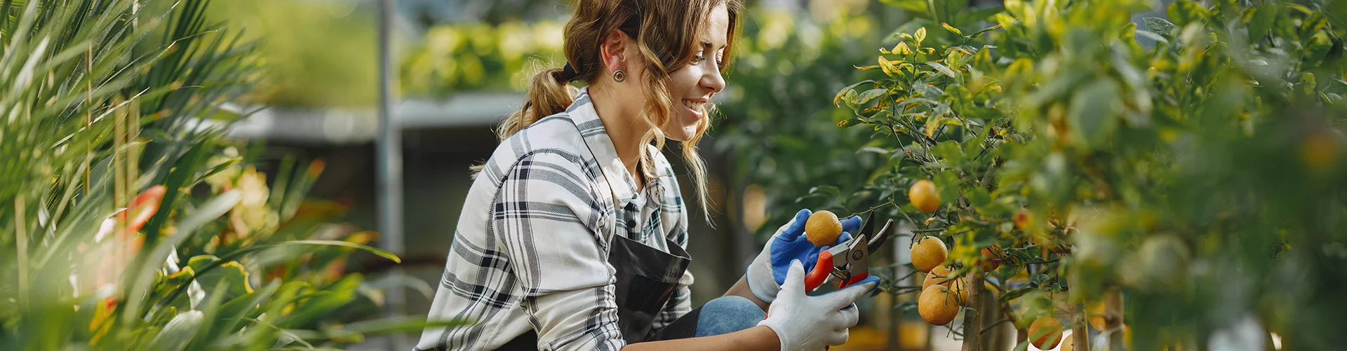 Portfolio Single Image