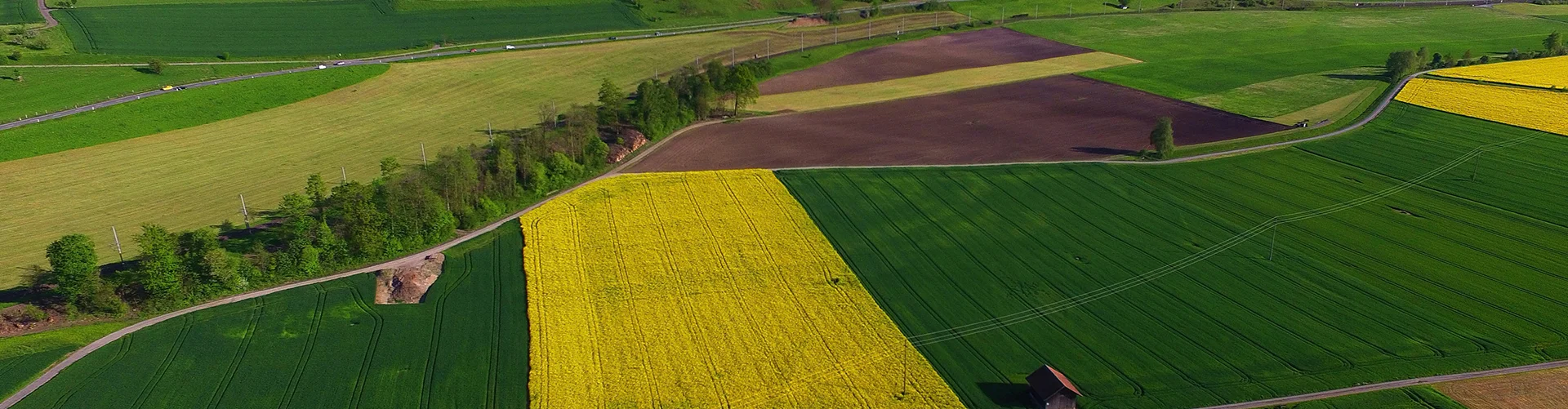 Portfolio Single Image 