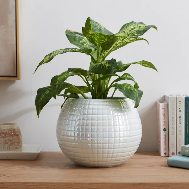 Iridescent Disco Ball Plant Pot