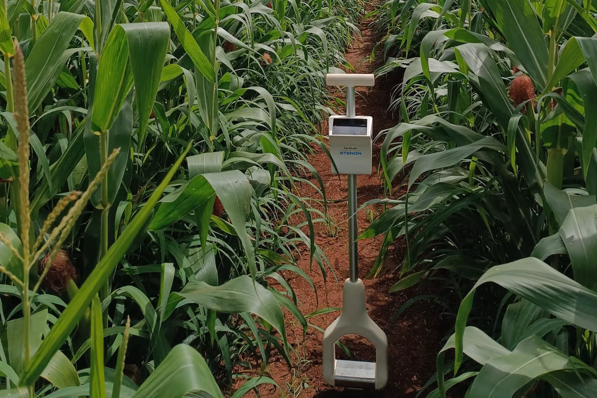 Image of portfolio item