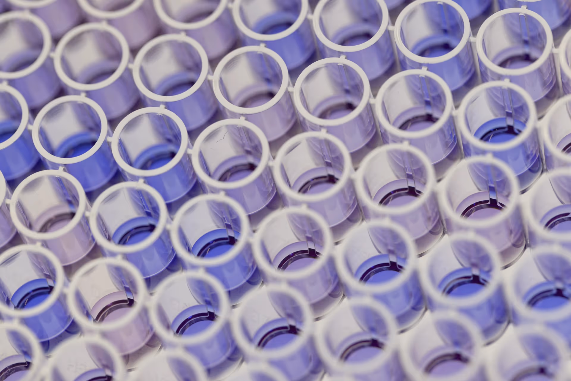 Image of portfolio item