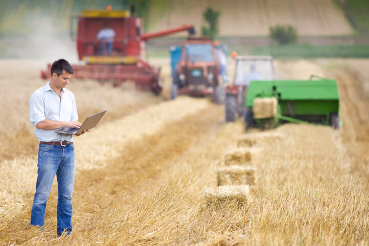 Image of portfolio item