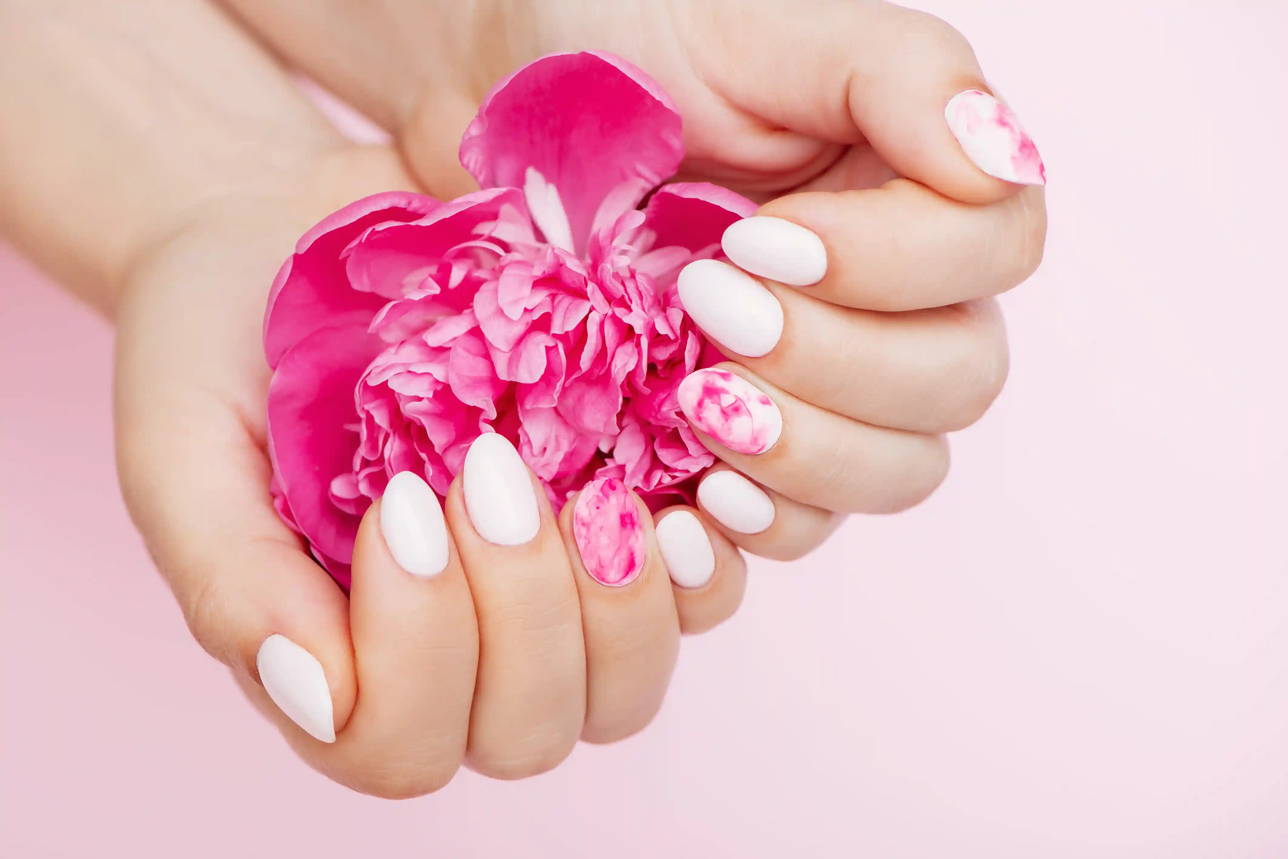 A pink flower in a woman's cupped hands revealing her clean designed nails.